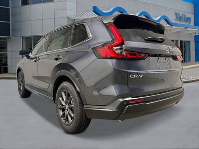 2026 Honda CR-V — rear three-quarter view