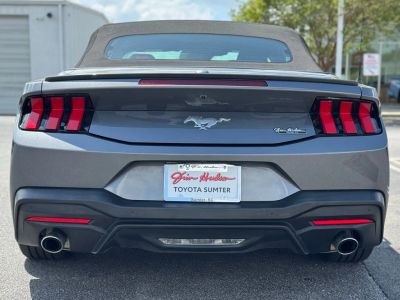 2024 Ford Mustang - Photo 10