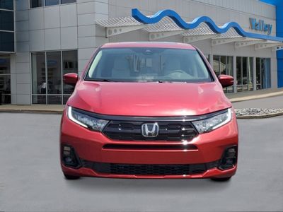 2026 Honda Odyssey - Photo 6