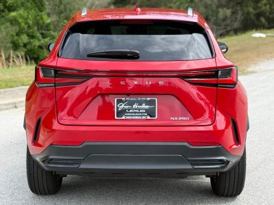 2022 Lexus NX - Photo 10