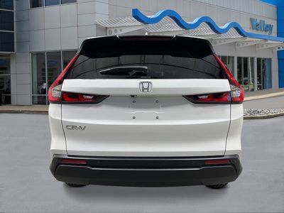 2026 Honda CR-V - Photo 4