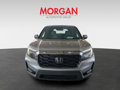 2022 Honda Passport - Photo 3