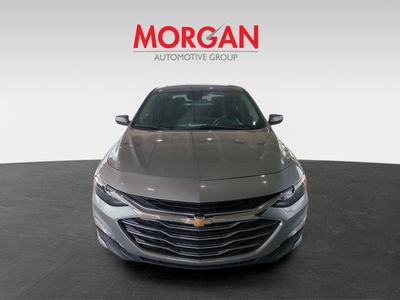 2024 Chevrolet Malibu - Photo 3