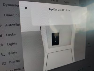 2025 Tesla Model 3 - Photo 29