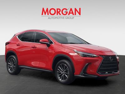 2025 Lexus NX - Photo 2