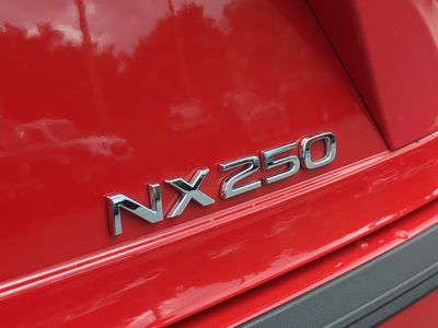 2025 Lexus NX - Photo 13