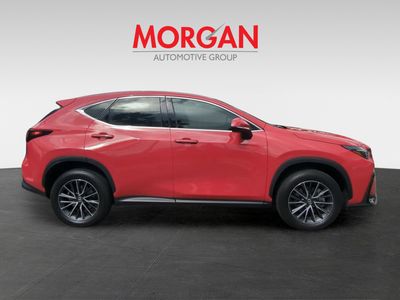 2025 Lexus NX - Photo 4