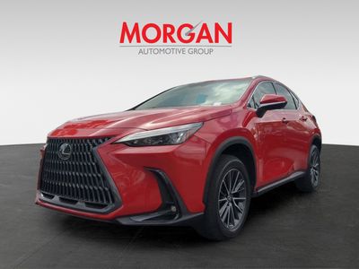 2025 Lexus NX - Photo 9