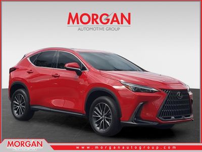 2025 Lexus NX - Photo 1
