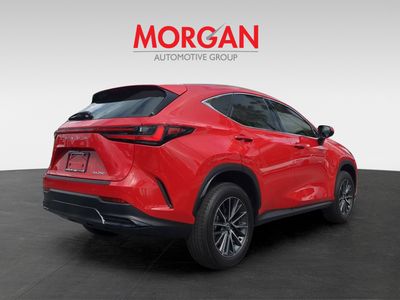 2025 Lexus NX - Photo 5