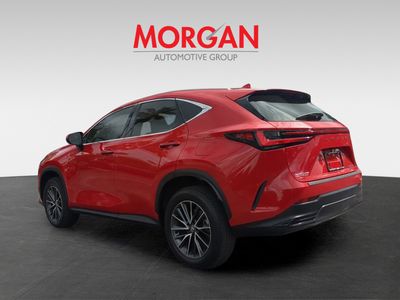 2025 Lexus NX - Photo 7