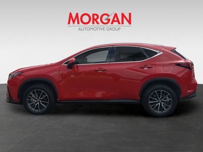 2025 Lexus NX - Photo 8