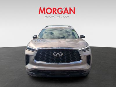 2025 INFINITI QX60 - Photo 3