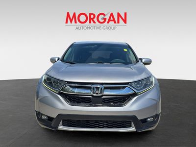 2019 Honda CR-V - Photo 3