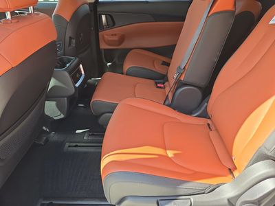 2026 Kia Carnival Hybrid — photo 17 view