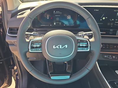 2026 Kia Carnival Hybrid — photo 30 view