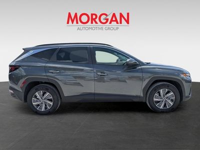 2024 Hyundai Tucson Hybrid - Photo 2