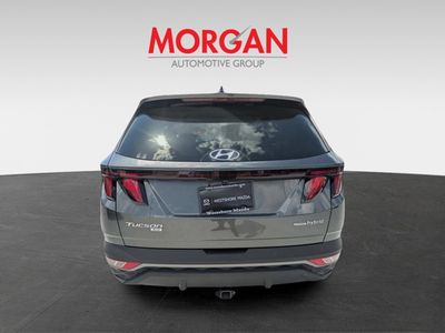 2024 Hyundai Tucson Hybrid - Photo 4