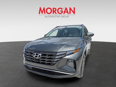 2024 Hyundai Tucson Hybrid - Photo 6