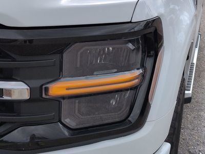 2025 Ford F-150 - Photo 10