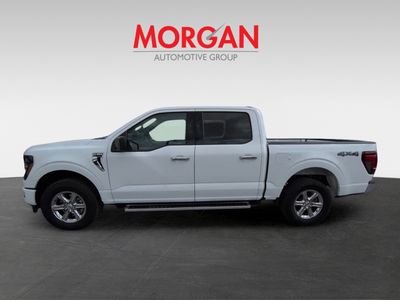 2025 Ford F-150 - Photo 8