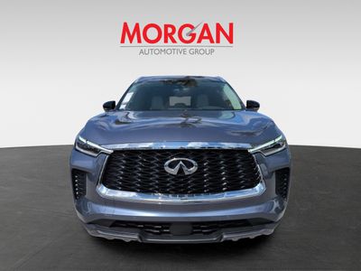 2023 INFINITI QX60 - Photo 3