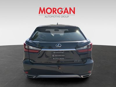 2022 Lexus RX - Photo 6