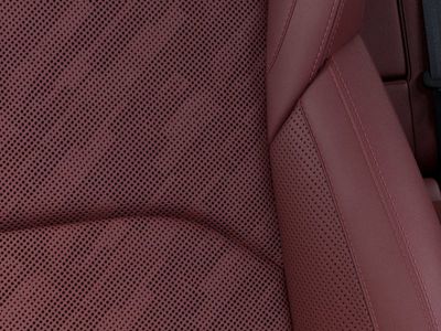 2026 Dodge Charger - Photo 20