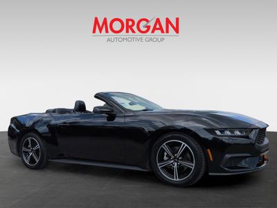 2024 Ford Mustang - Photo 2
