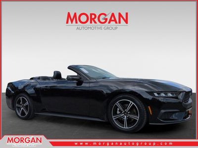 2024 Ford Mustang - Photo 1