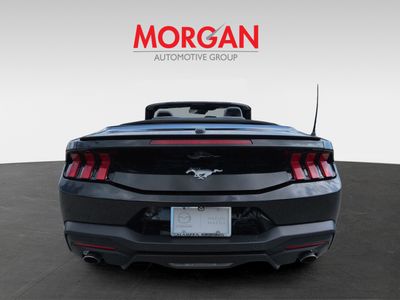 2024 Ford Mustang - Photo 6