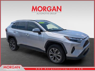2024 Toyota RAV4 - Photo 1