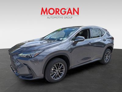 2022 Lexus NX - Photo 8