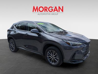 2022 Lexus NX - Photo 2