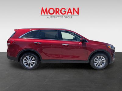 2017 Kia Sorento - Photo 3