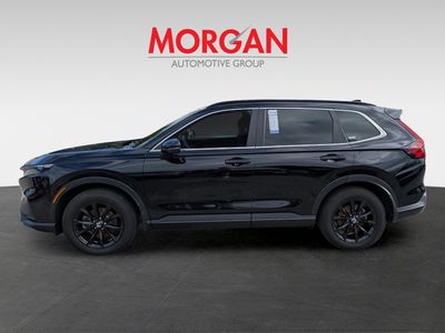 2024 Honda CR-V Hybrid - Photo 7
