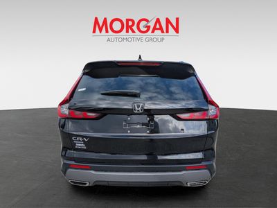 2024 Honda CR-V Hybrid - Photo 5