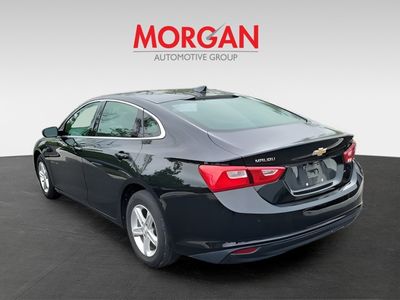 2024 Chevrolet Malibu - Photo 3