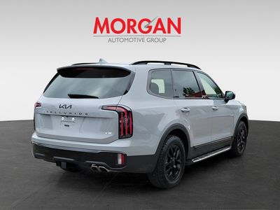 2025 Kia Telluride - Photo 4