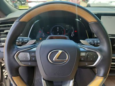 2024 Lexus RX - Photo 23