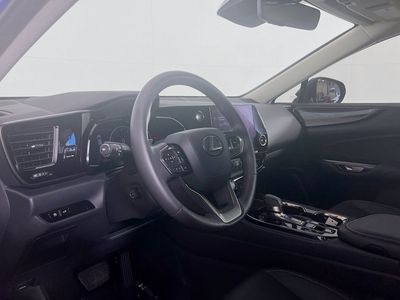 2025 Lexus NX - Photo 8