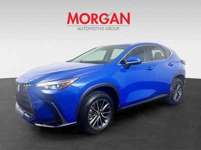 2025 Lexus NX - Photo 3