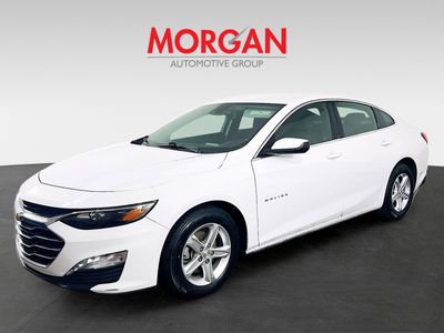 2024 Chevrolet Malibu - Photo 3