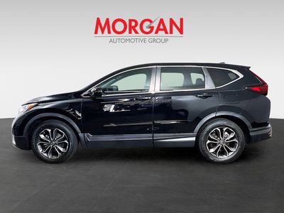 2020 Honda CR-V - Photo 4