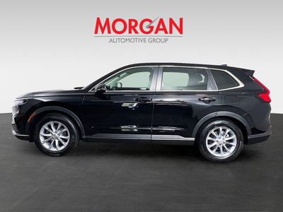2024 Honda CR-V - Photo 4