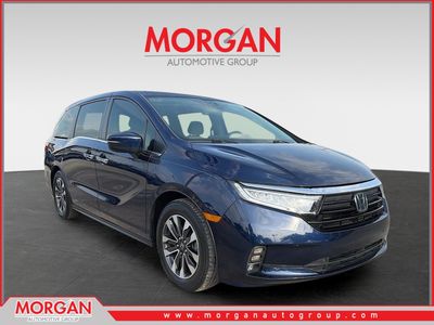 2022 Honda Odyssey - Photo 1