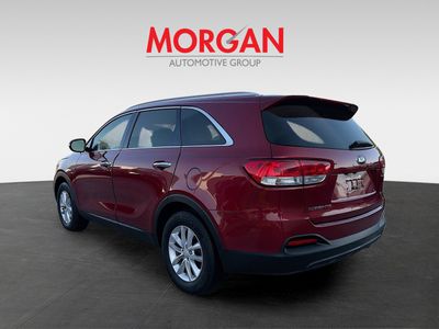 2017 Kia Sorento - Photo 5