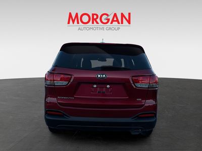2017 Kia Sorento - Photo 4