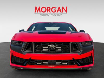 2025 Ford Mustang - Photo 8