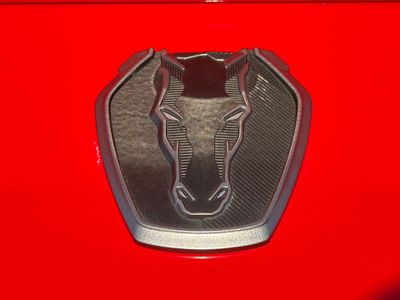 2025 Ford Mustang - Photo 11